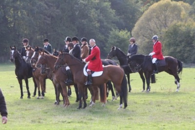 Das geordnete Jagdfeld