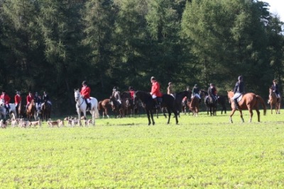 Die Meute und das Jagdfeld