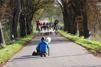 Das NDR-Team bei der Arbeit